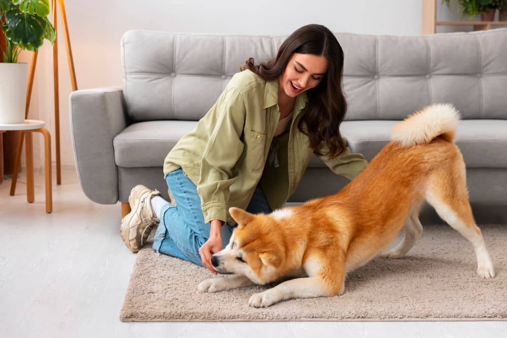 Why Annual Wellness Exams Are the Single Best Thing You Can Do for Your Pet