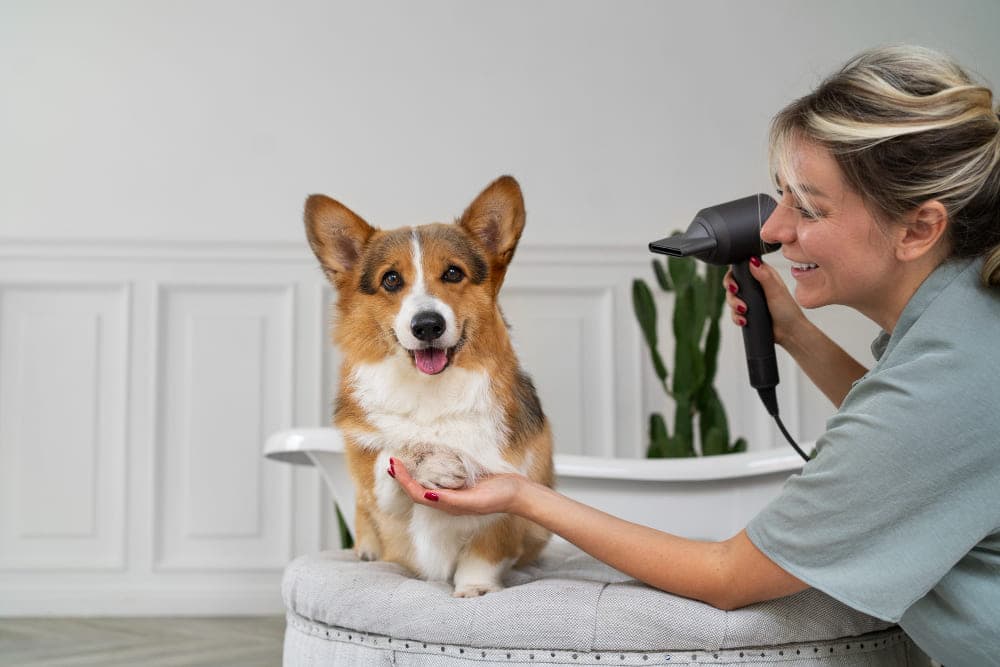 Spaying & Neutering