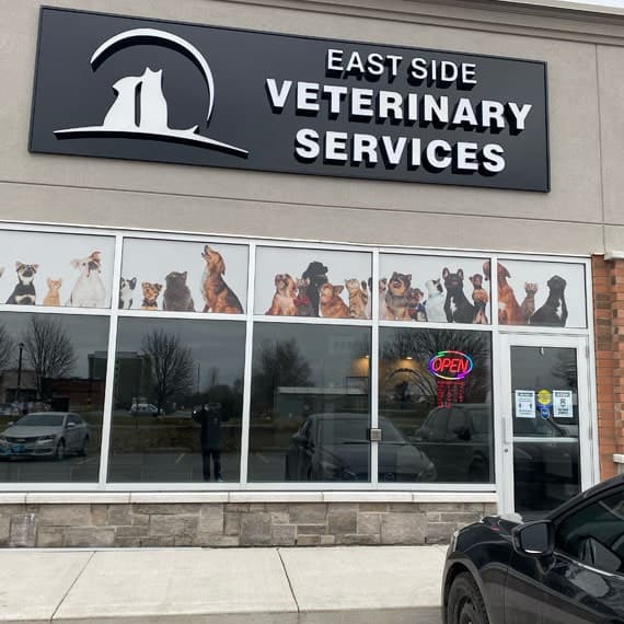 EastSide Veterinary Services clinic exterior