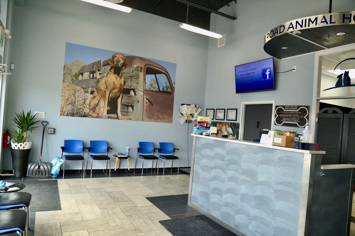 EastSide Veterinary Services waiting room