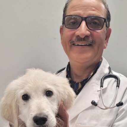 Dr Sanjay Ralhan