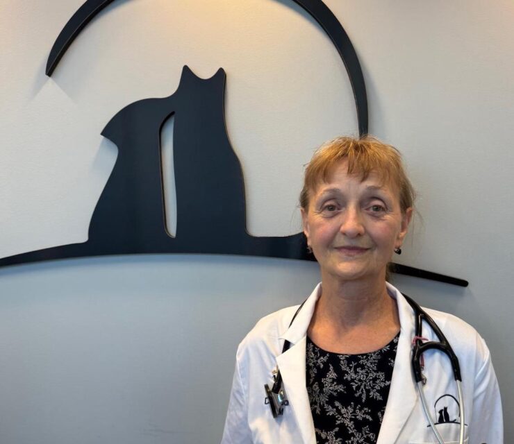 Dr susan