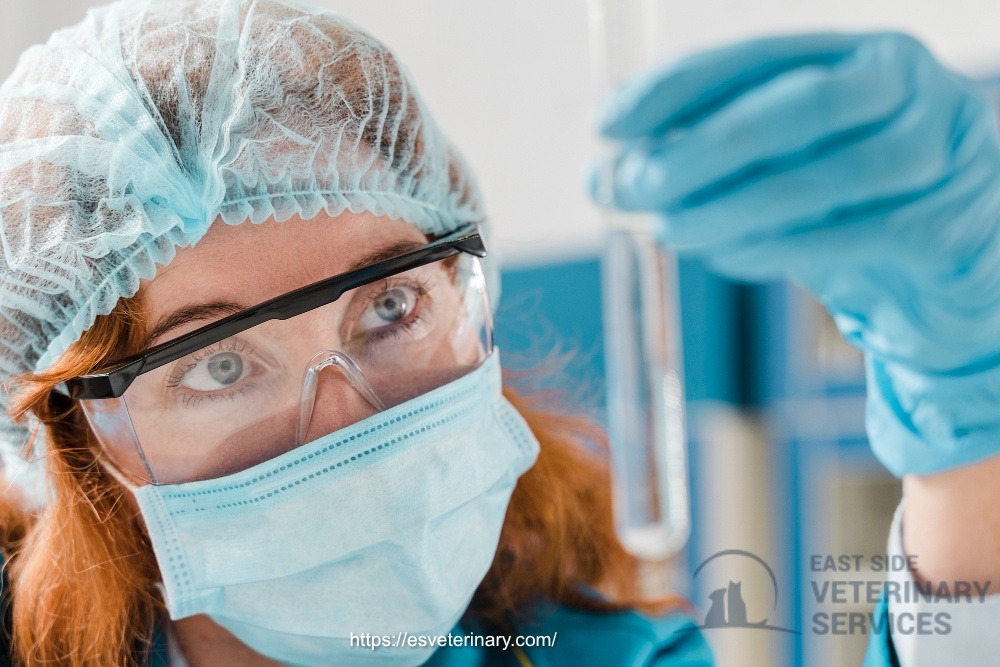 Pet Laboratory Service