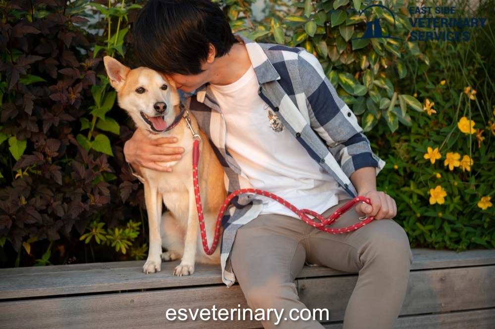  Pet Spaying and Neutering