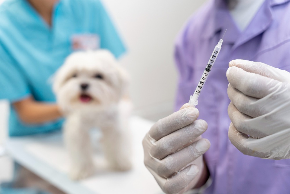 pet vaccination service