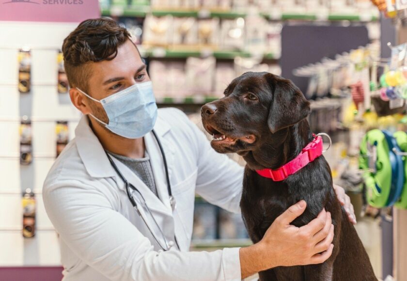 Pet Pharmacy Kingston Ontario