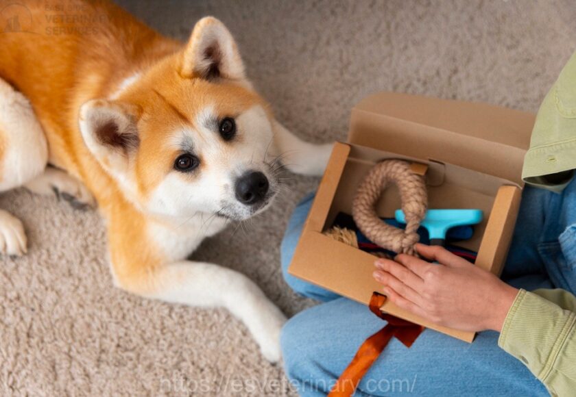 Pet microchipping service in Kingston Ontario at EastSide Veterinary Services