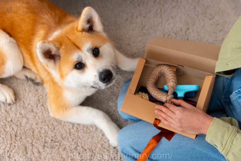 Pet microchipping service in Kingston Ontario at EastSide Veterinary Services